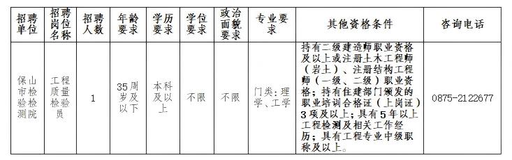保山市检验检测院2025年公开招聘编外聘用人员的公告